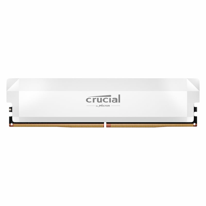 Crucial® DDR5 Pro Memory - 16GB