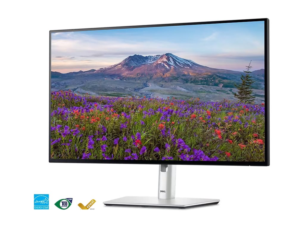Dell UltraSharp 24 USB-C Hub Monitor-U2424HE 60.47cm (23.8)