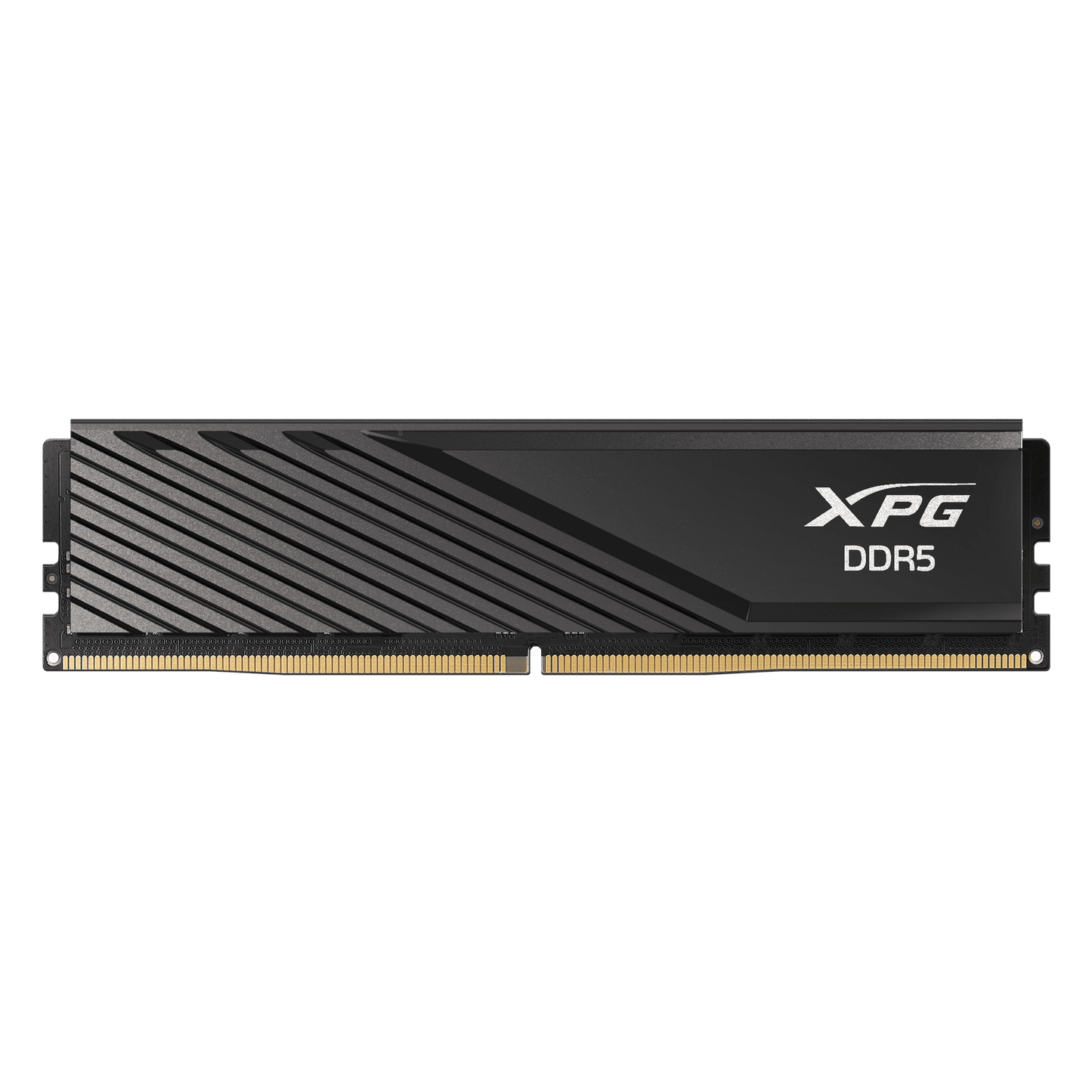XPG Lancer Blade 16GB DDR5 5600Mhz memory module with RGB lighting on a white background