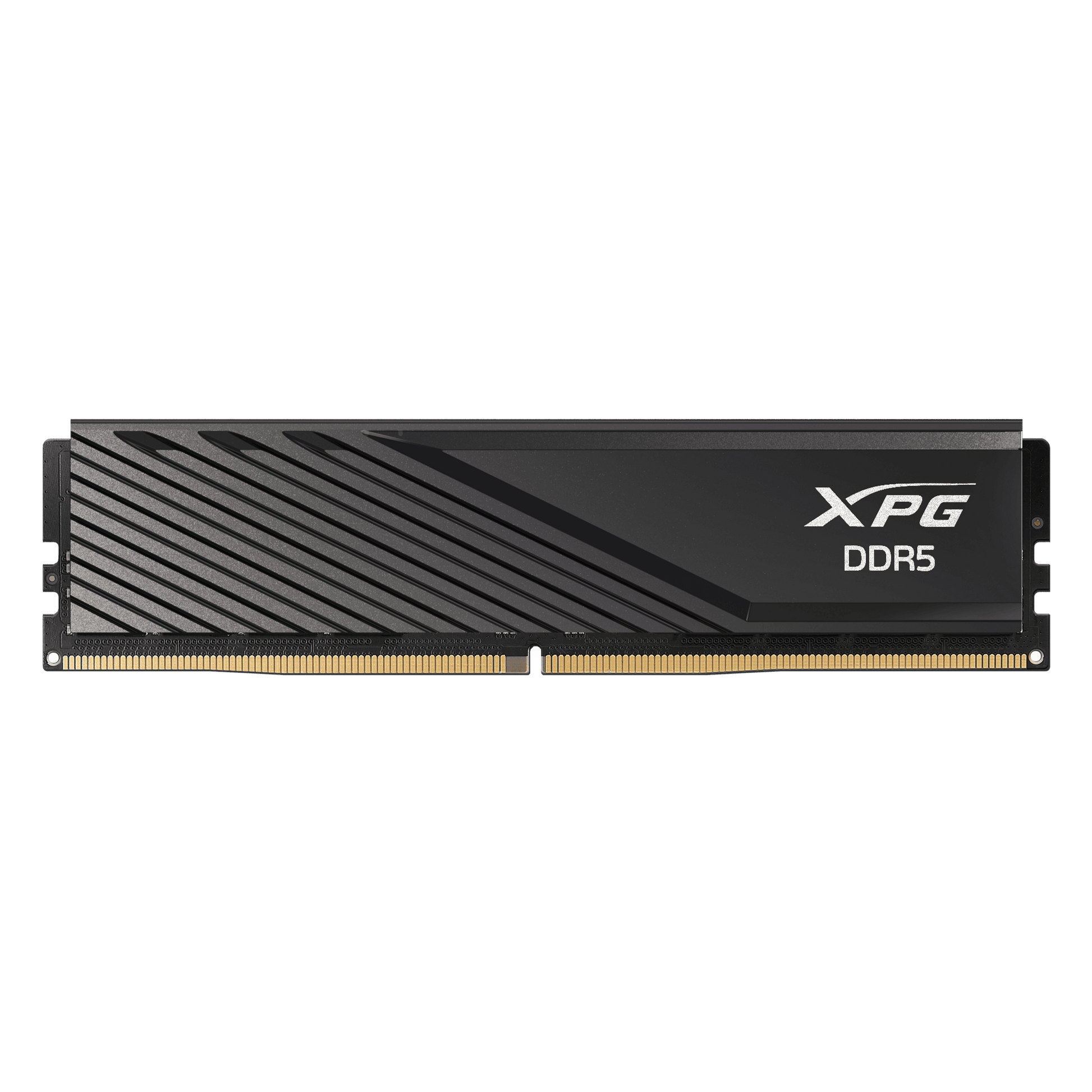 XPG Lancer Blade 16GB DDR5 5600Mhz memory module with RGB lighting on a white background
