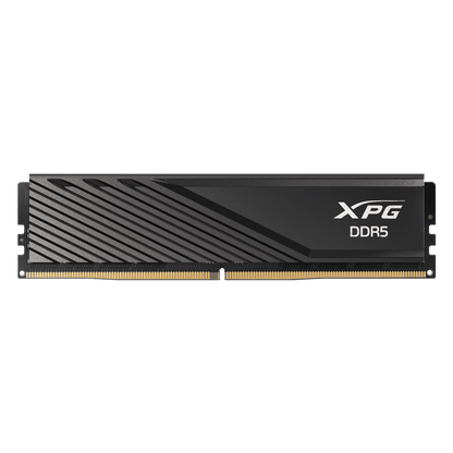 XPG Lancer Blade 16GB DDR5 5600Mhz memory module with RGB lighting on a white background