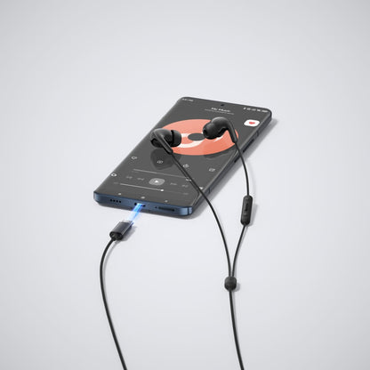 Xiaomi Type-C Earphones - Black