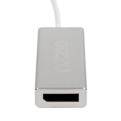Gizzu 4K60Hz Type-C to DisplayPort Adapter – Silver