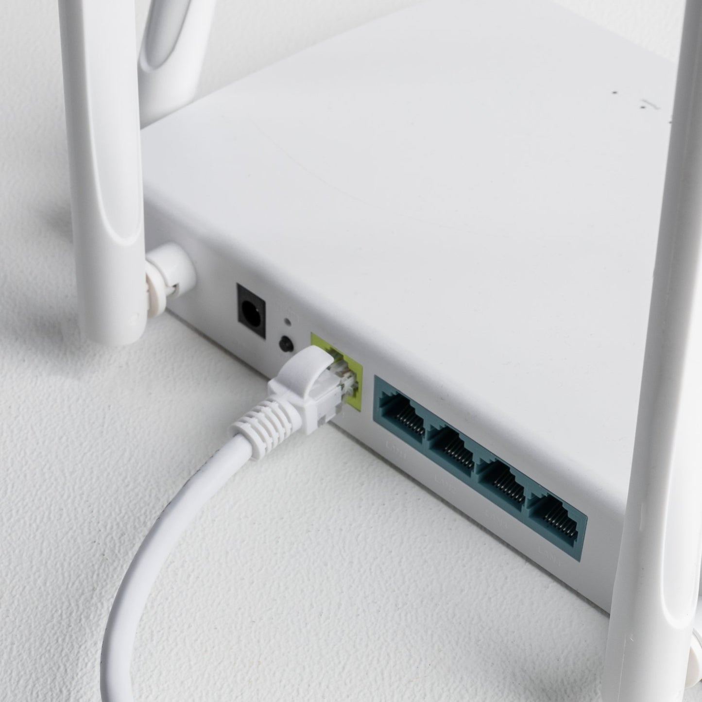 Gizzu Cat6 UTP Fly Lead Ethernet Network Cable - 20cm