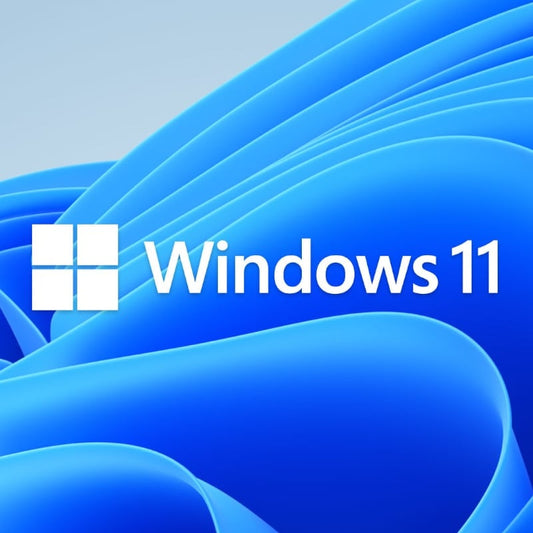 WIN 11 HOME 64BIT ENG 1PK DSP DVD