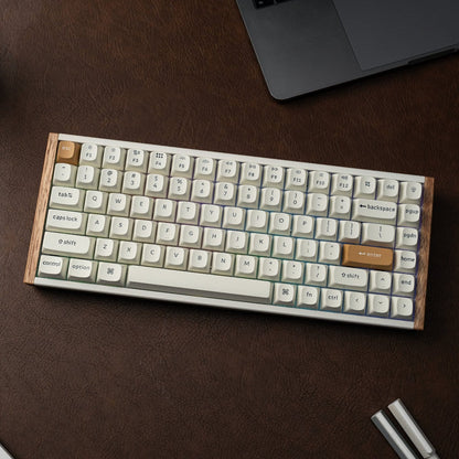 Keychron K2 HE Wireless Special Edition Magnetic Custom Keyboard