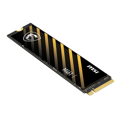MSI M641 500GB M.2 2280 NVMe SSD