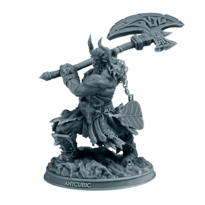 Anycubic Standard Resin V2 1kg - HD Grey
