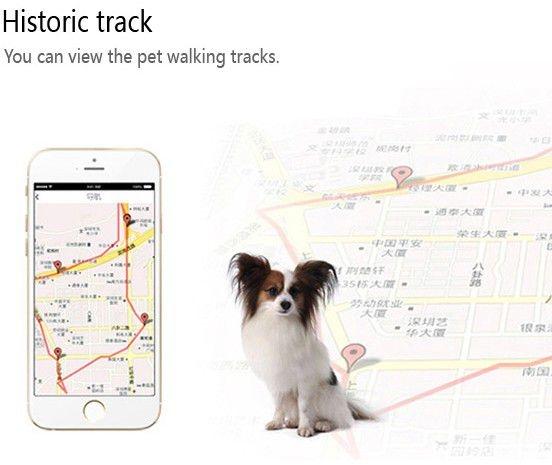 Smartphone displaying a map with a dog icon and text about viewing pet walking tracks.