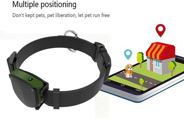 Smart pet collar with a smartphone app showing a map of a building and a dog.