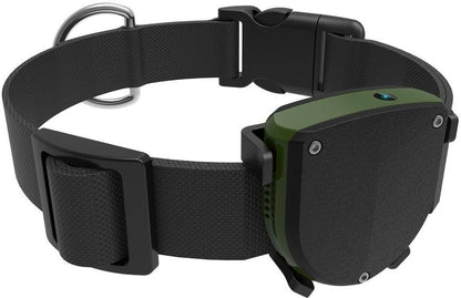 Black dog collar with a green electronic device attached on a white background