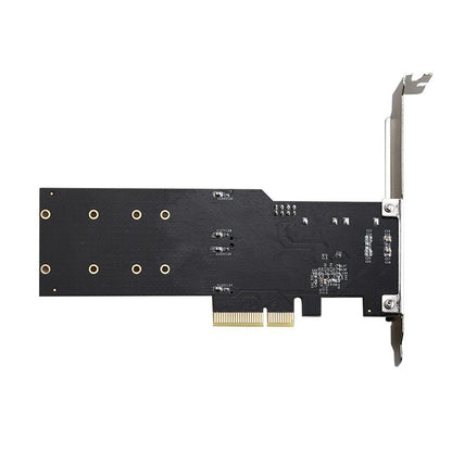 PCI-E 2 X SATA + 2 X M.2 CARD
