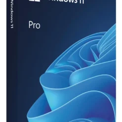 microsoft windows 11 professional fpp hav 00164.