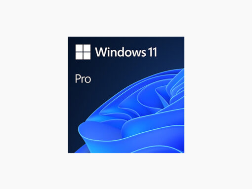 windows 11 professional full install download. fqc 10572